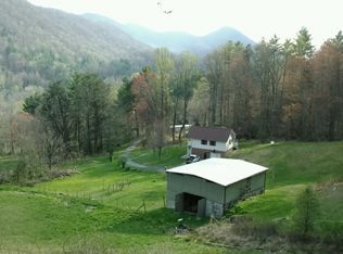141 B E Wilson Ln, Flag Pond, TN 37657