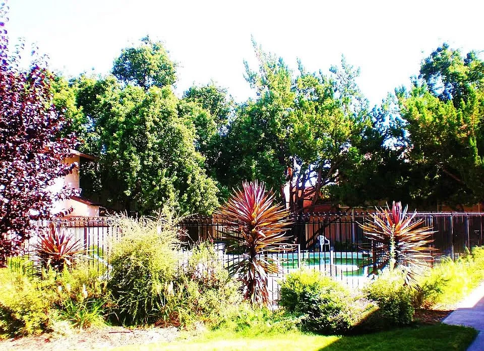 Montecito Apartments — Photo 2