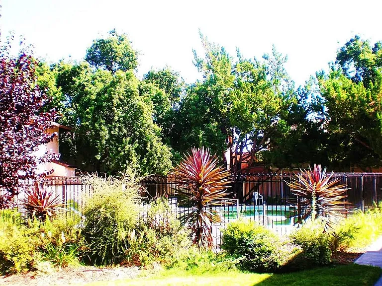 Montecito Apartments — Photo 3