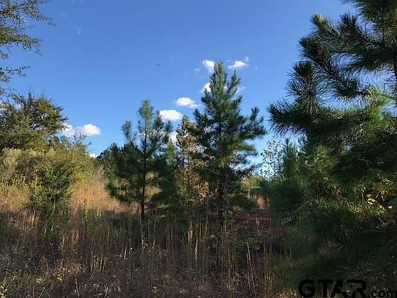 3rd image of 16 86 Acres County Rd #3990