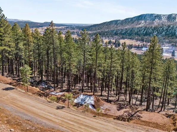 314 Deer Ridge Drive, Bayfield, CO 81122