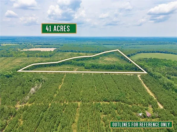 0 Powell School Rd N Tract 3, Lumber City, GA 31549