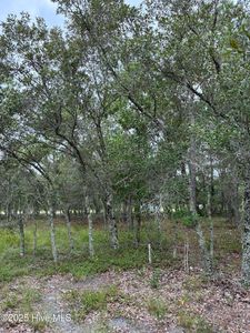 3040 Valderama Way SE, Bolivia, NC, 28422