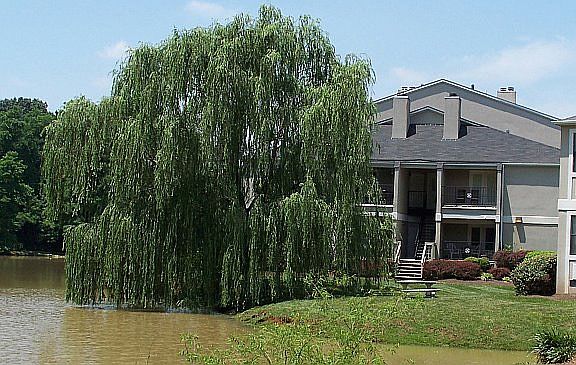 5th image of 8824 Fox River Way