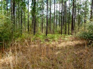 786 Tatum Camp Rd, Purvis, MS 39475