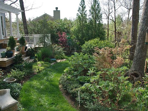 A stroll in the garden