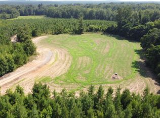 9390 Hopewell Rd, Lizella, GA 31052