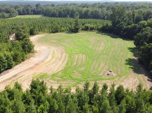 9390 Hopewell Rd, Lizella, GA 31052