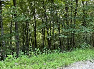 227 Birch Springs Ln, Mars Hill, NC 28754