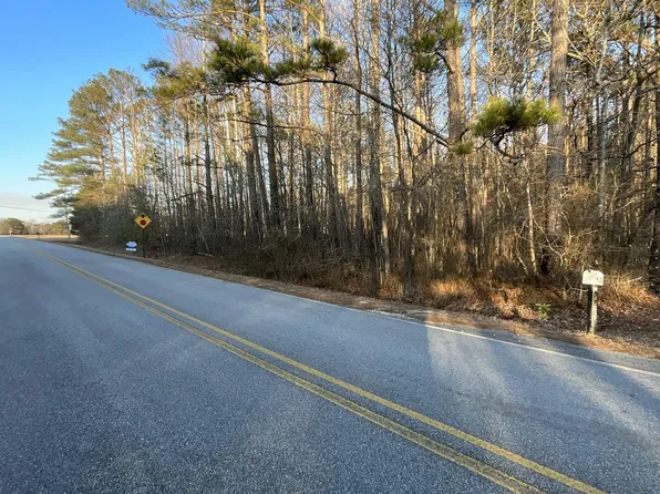 0 Lee Thompson Rd, Moreland, GA 30259