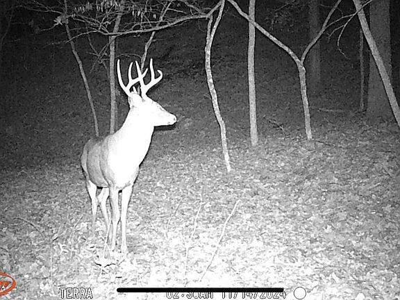 3rd image of Lot 13 Lookout Point