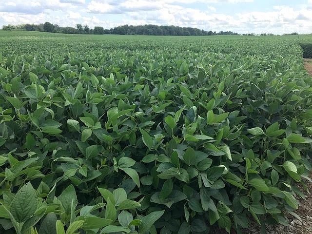 1st image of 8705 W County Road 300 N
