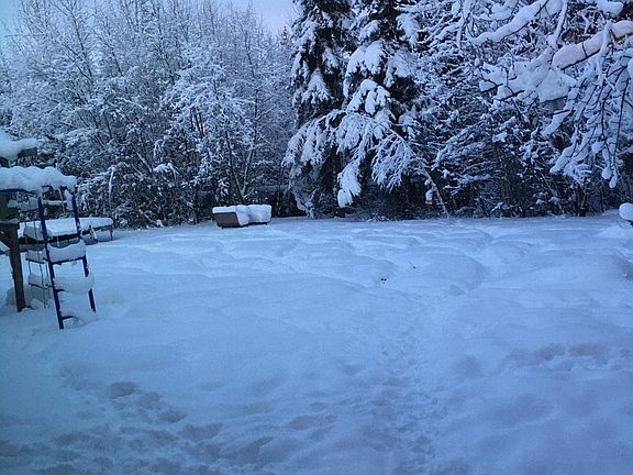 4th image of 3624 Frosty Ave