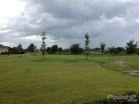 5th image of 12113 Forest Park Cir