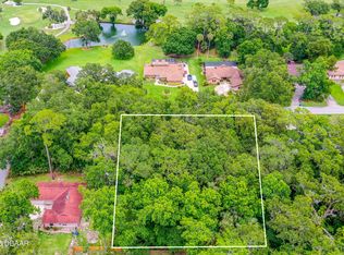 3 Timber Trl, Ormond Beach, FL 32174