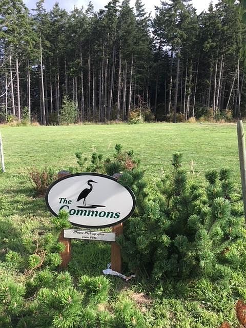 Commons Park sits directly across the street provides privacy of this residential private park, and a view of woods, wildlife, etc.