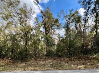 0 Smallman St, Webster, FL 33597