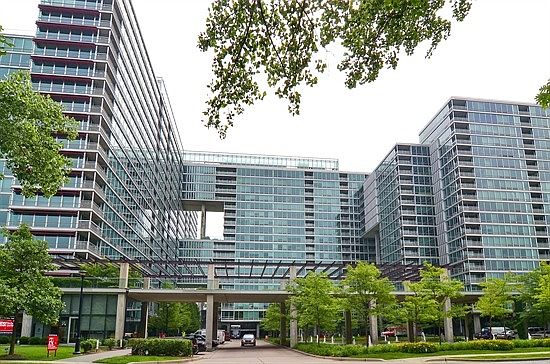 1st image of 9655 Woods Dr Unit 1601