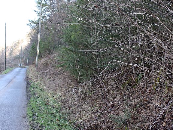 5th image of Bohanan Hollow Road