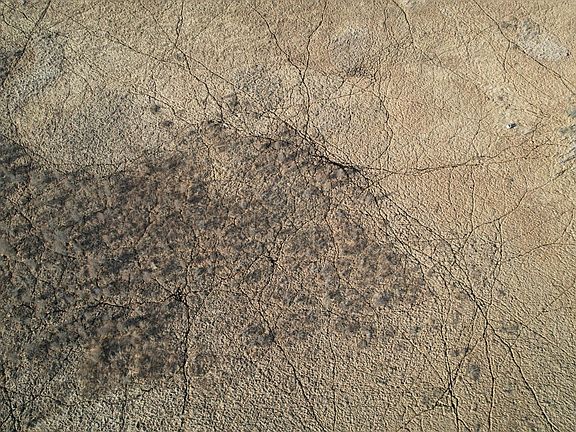 5th image of 320th St