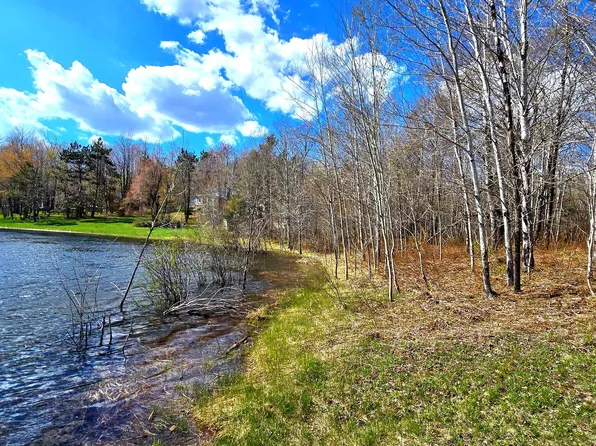 252 Sunridge Dr, Elmira, MI 49730
