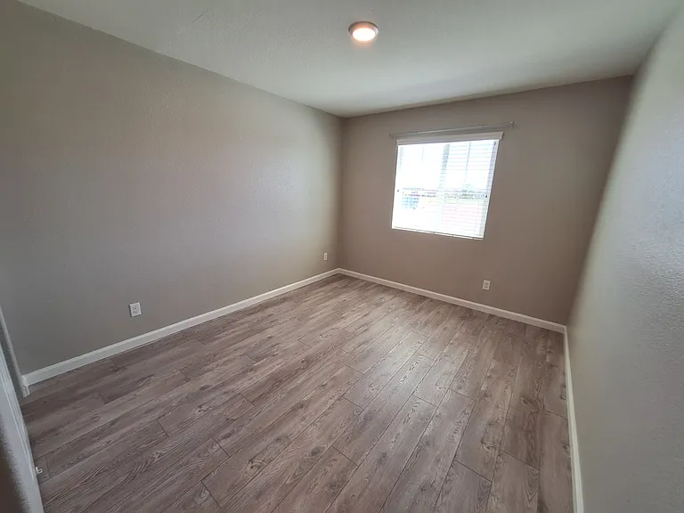 Alboran Sea Cir — Photo 18
