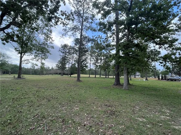 30984 Wild Iris Way, Springfield, LA 70462