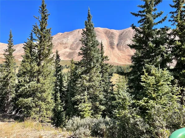 303 Silver Horseshoe Rd, Fairplay, CO 80440