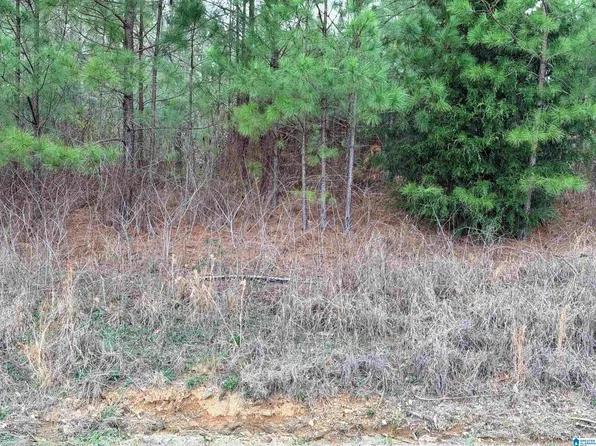 2012 Shannon Rd, Bessemer, AL 35022