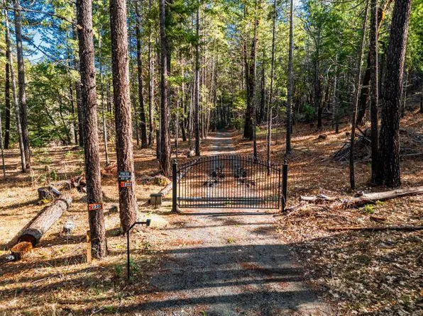 270 Wildpark Ln, Selma, OR 97538