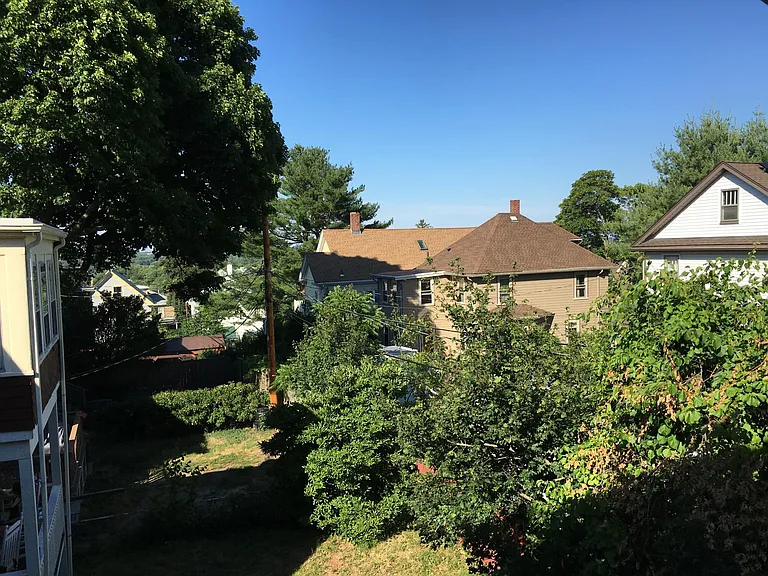View from Back Porch