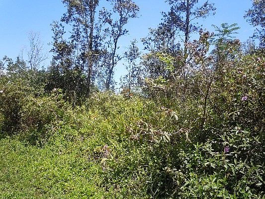 2nd image of 12th Ave Lot 691