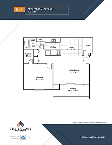 Floor plan B1