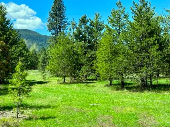 15 Hidden Meadows Way, Trout Creek, MT 59874