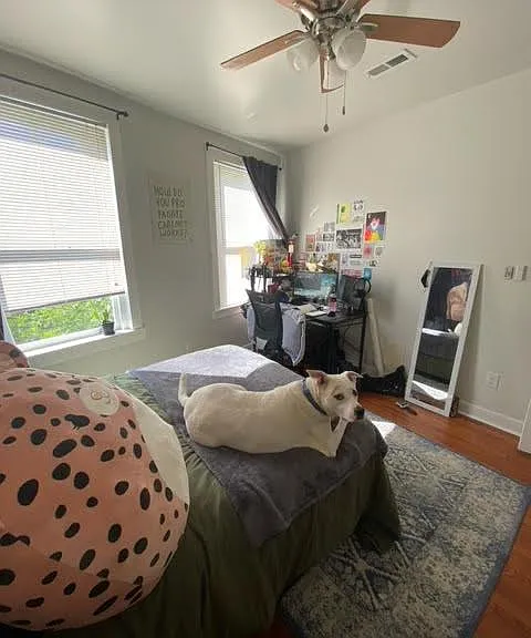 Bedroom 1 with great natural light, hardwoods and ceiling fan.