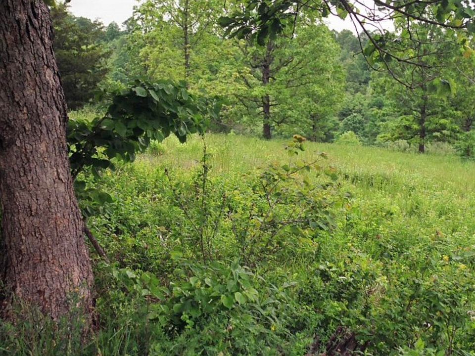 2nd image of 000 Tbd Private Drive County Road 116