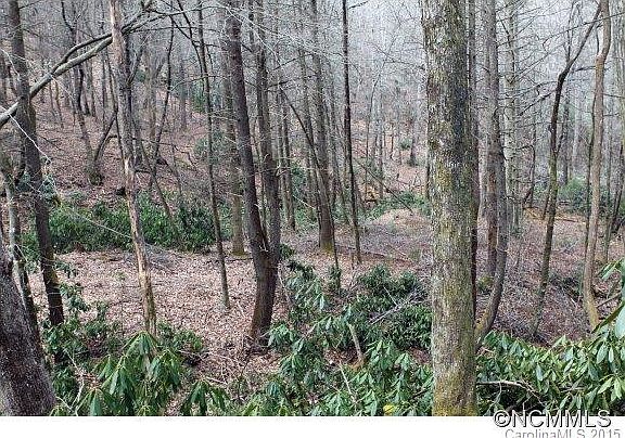 5th image of State Route 1260 Hickory Mountain Ln