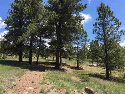 LOT 1206 Colonial Trl, Angel Fire, NM, 87710