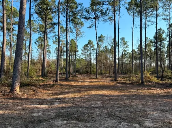 B County Rd #216, Beckville, TX 75631