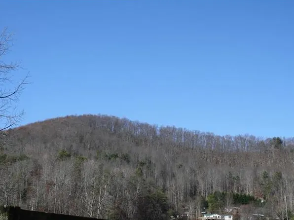 17 Doe Run, Candler, NC 28715