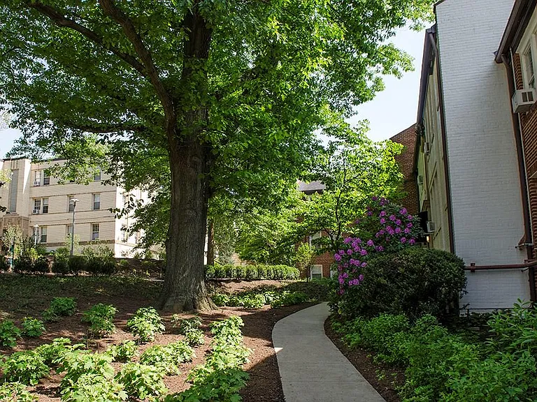 Park Crest Apartments — Photo 2