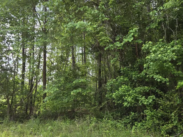 I1035a Tutelo Rd Lot I1035a, Warrenton, NC 27589