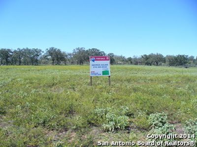 345 County Road 442, Stockdale, TX, 78160
