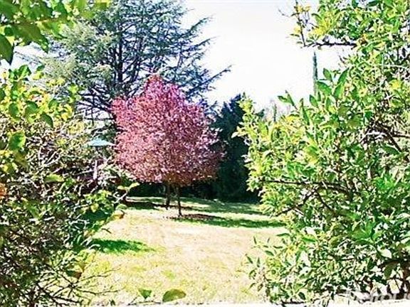 3rd image of 8189 Plumeria Ave