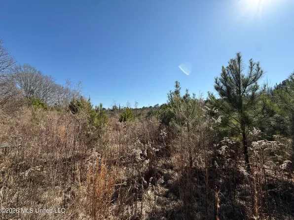 532 Mount Zion Rd, Prentiss, MS 39474