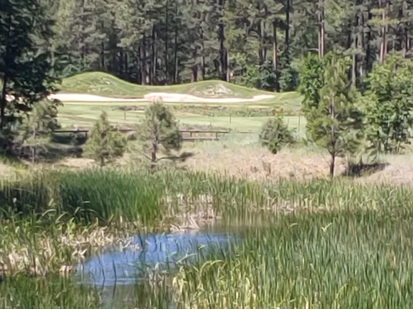 490 Rockcress Ln, Show Low, AZ 85901