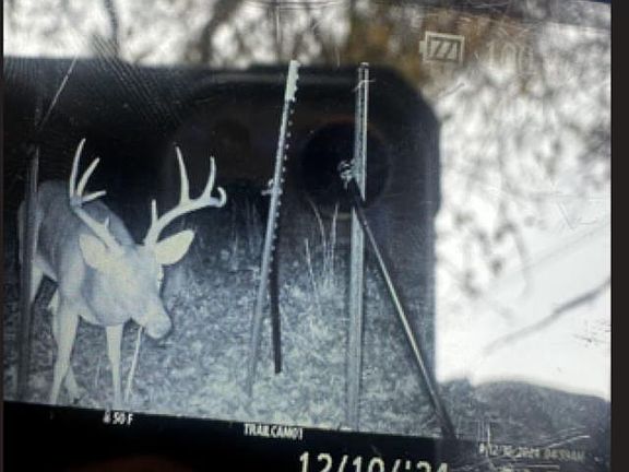 5th image of 22522 County Road 244