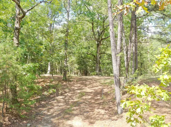 (undisclosed Address), Mena, AR 71953