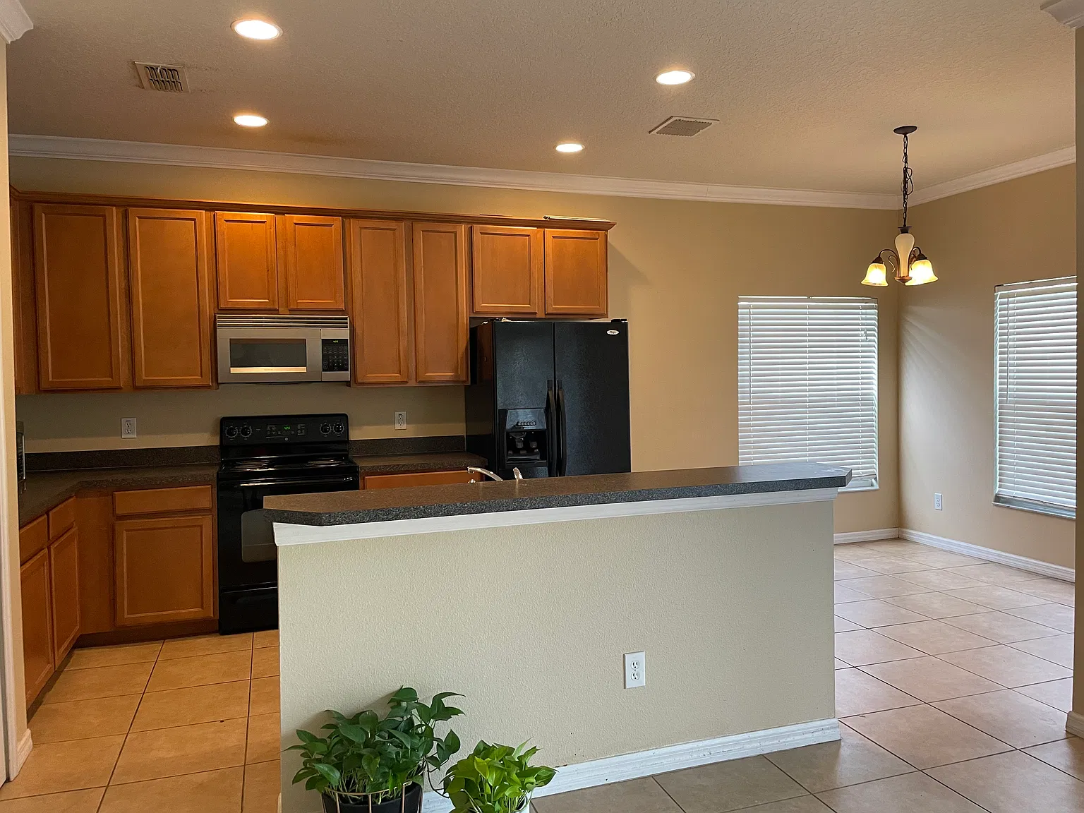 847 Maple Grove Way — Photo 3