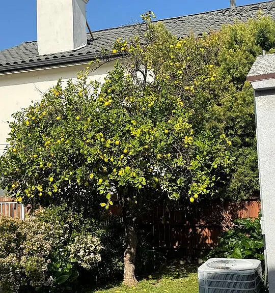 4503 Tobias Ave — Photo 5